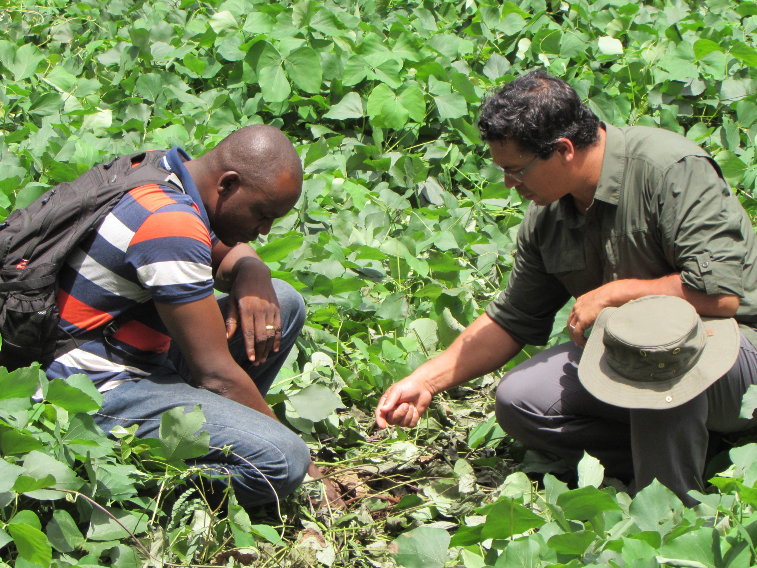 Two men crouching in field