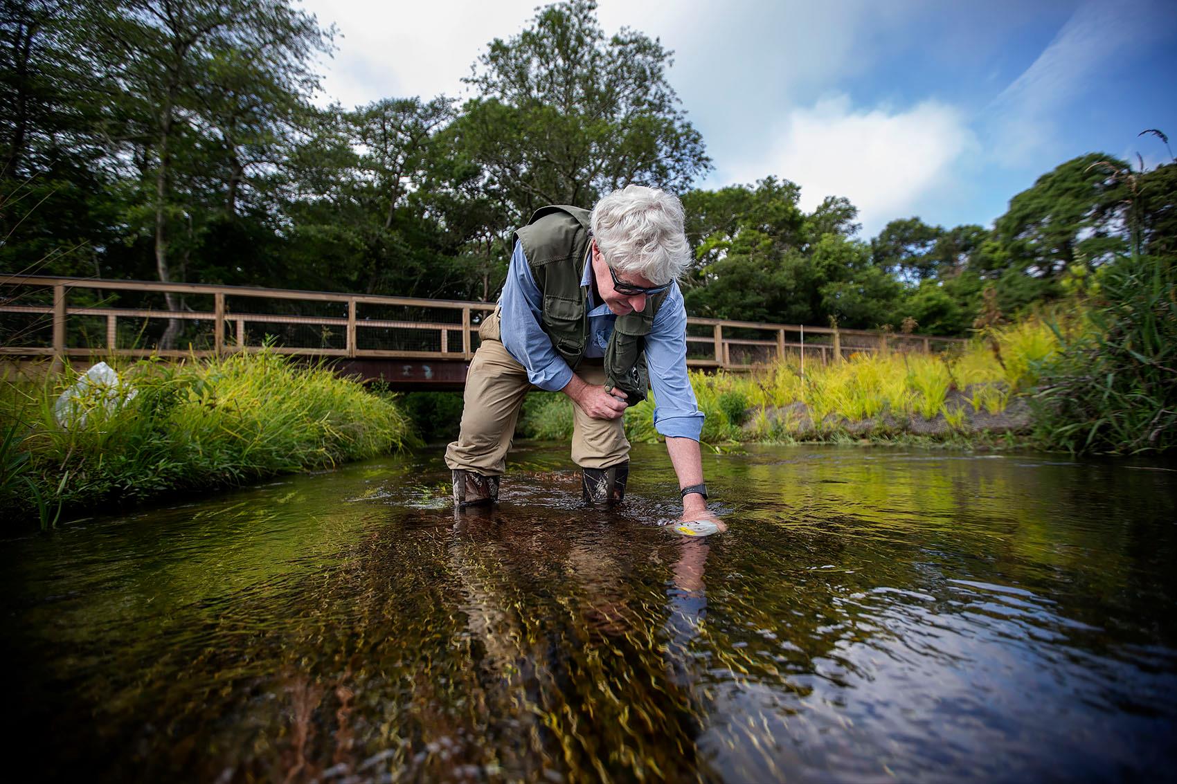 Chris Neill in a stream while conducting water fieldwork.