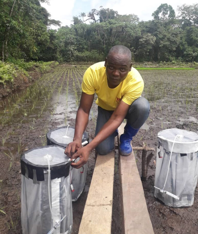 Joseph Zambo sampling greenhouse gas fluxes in a rice field