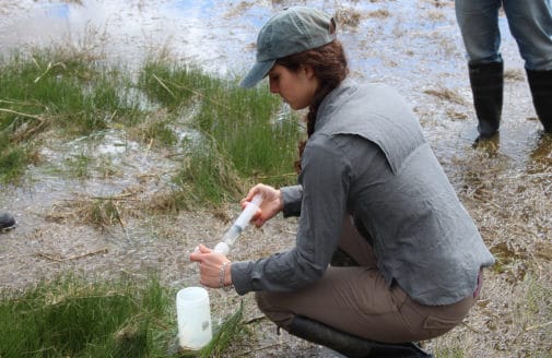 Hilary Sullivan takes a water sample at Plum Island.