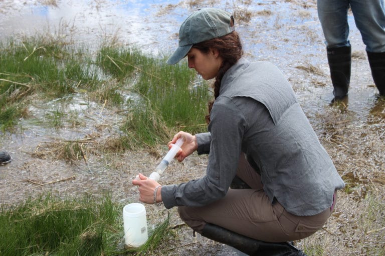 Hilary Sullivan takes a water sample at Plum Island.