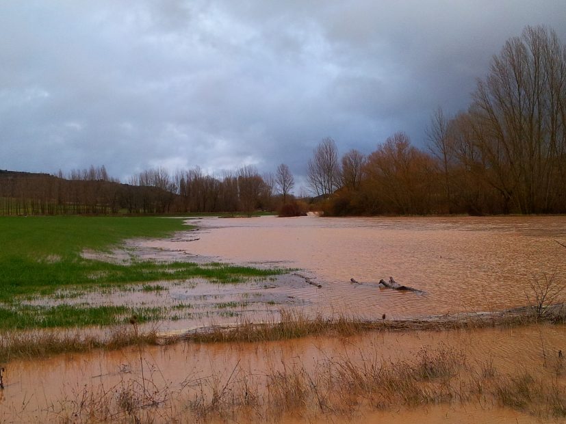 Field flooded from river overflowing its banks.