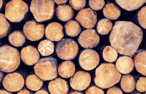 Stock image of cut wood logs.