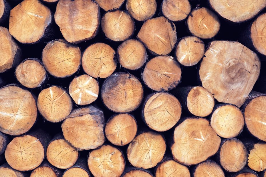 Stock image of cut wood logs.