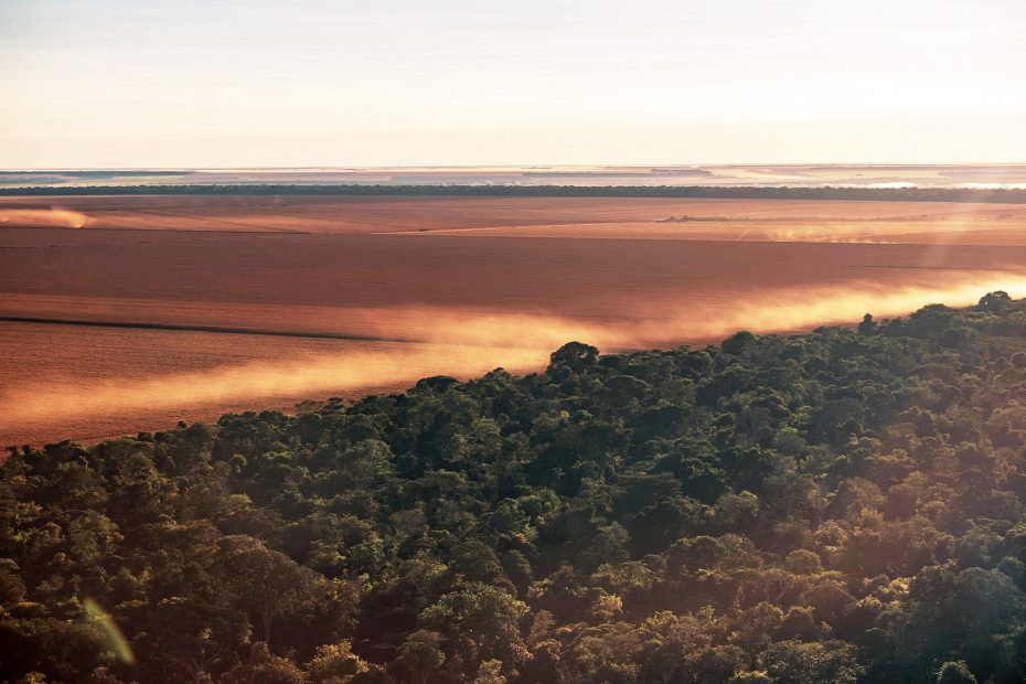 A dusty cropfield in Brazil.