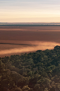 Amazonian farmland and forest