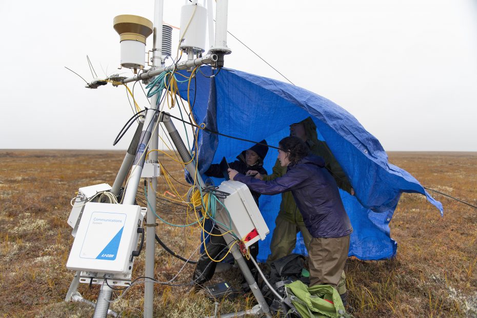 Woodwell scientists installing the flux tower in Alaska.