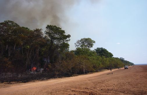 Fire in the forest at Tanguro Ranch.