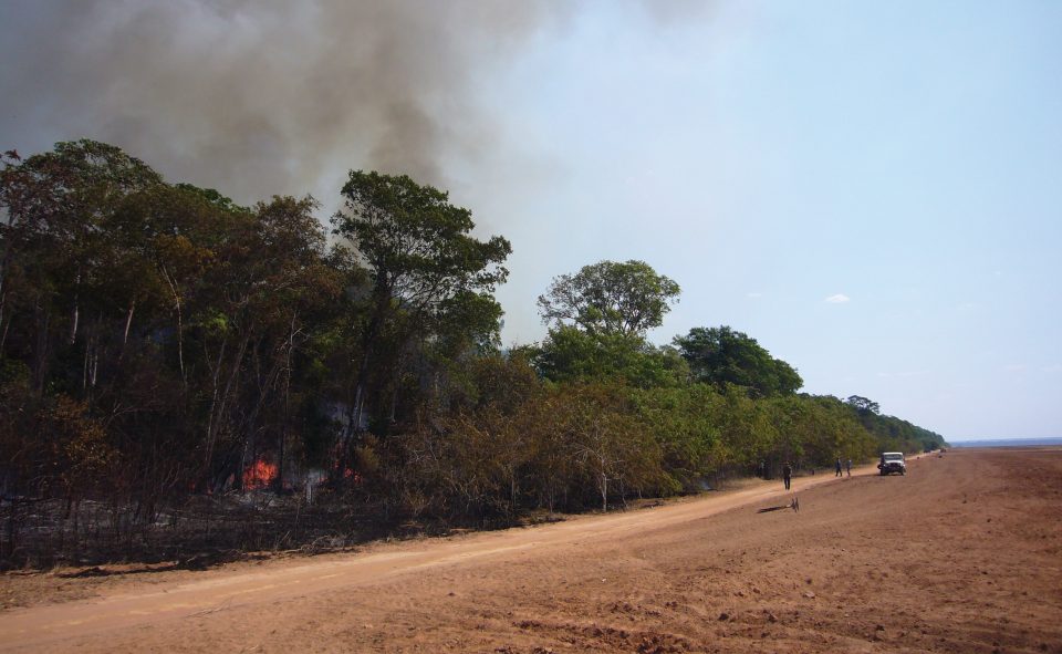 Fire in the forest at Tanguro Ranch.