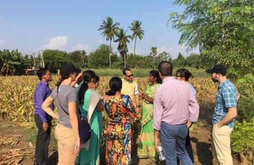 An Indian farmer gives a tour of her property.