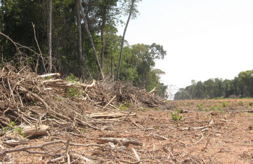 swath of cut trees in an Amazon forest