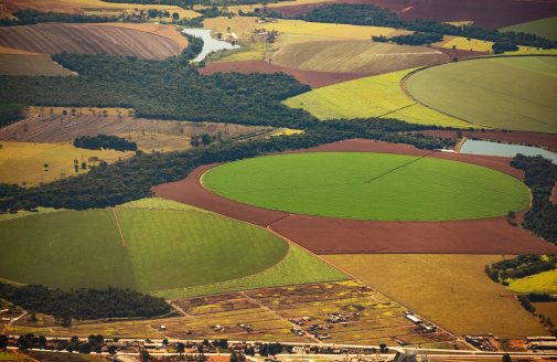 Aerial view of crop fields in Brazil