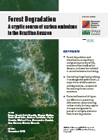 Forest Degradation pdf cover