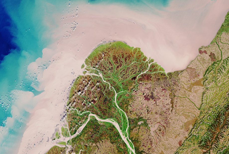 Image of the Yukon River Delta