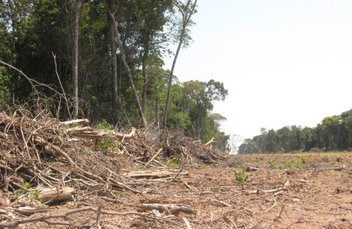 Amazonian deforestation