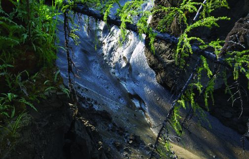 thawing permafrost