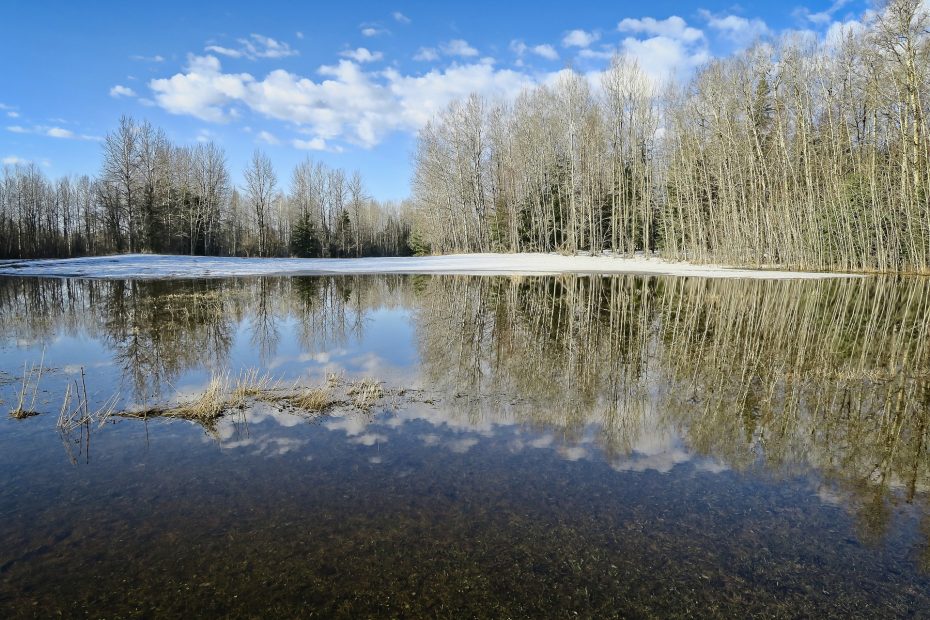 Illustrative image of melting pond ice.