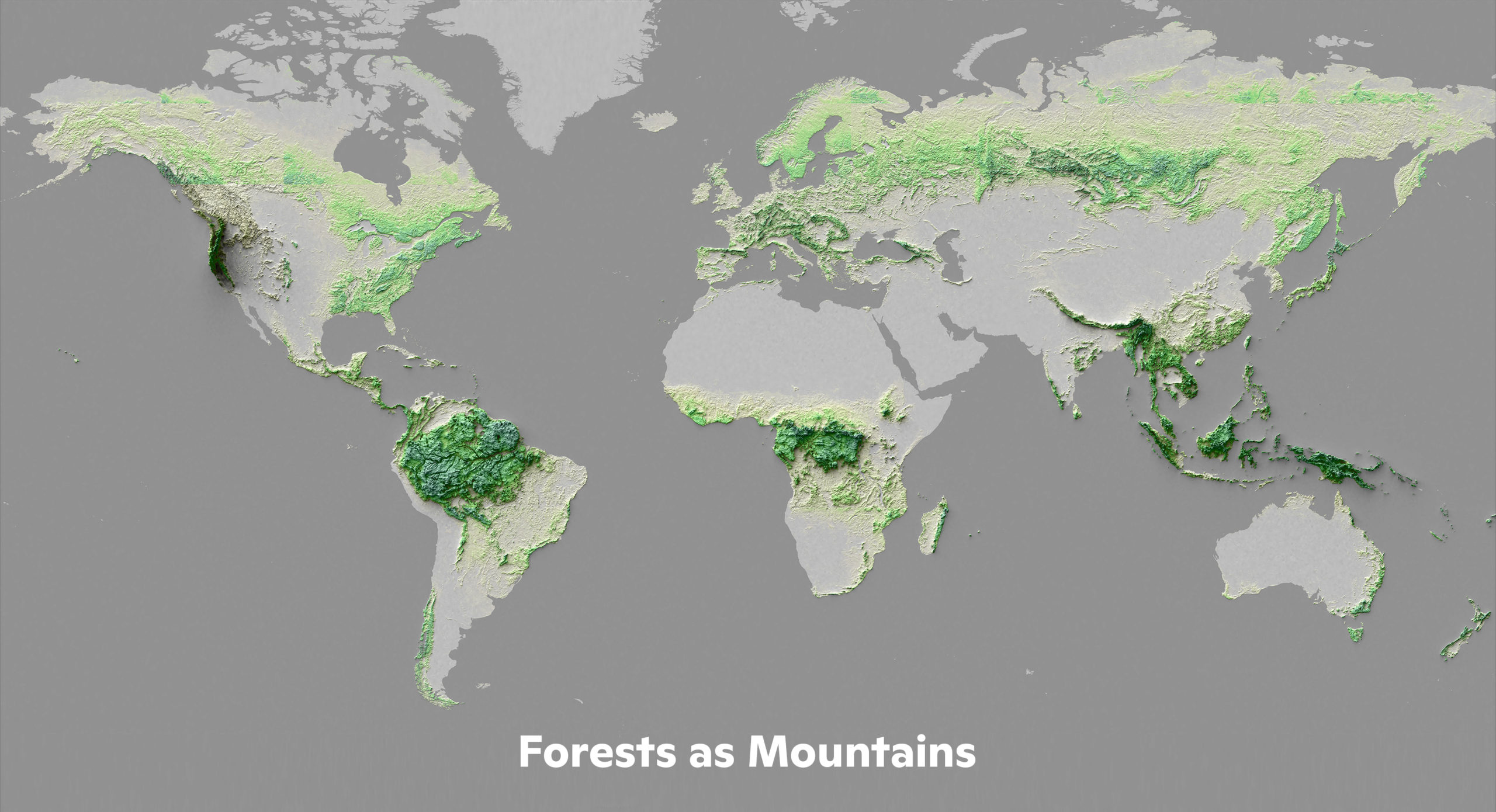 Forests as mountains illustrates where carbon is stored.