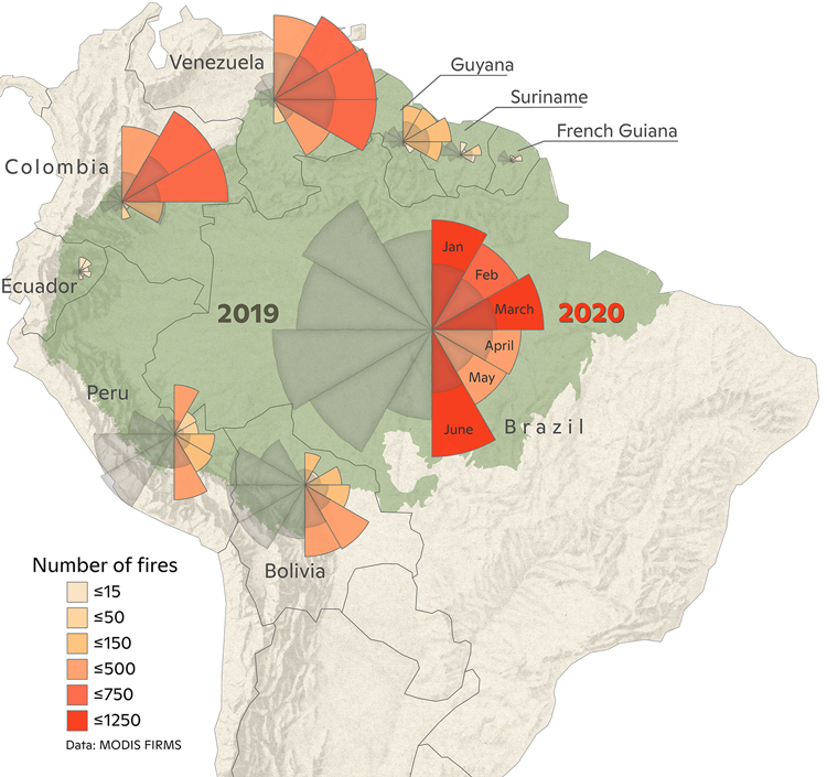 Amazon fires map for January through June 2020.