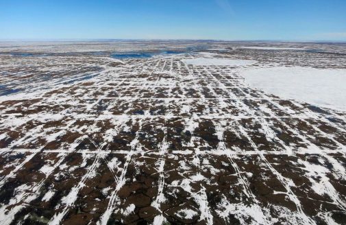 Seismic Survey vehicle tracks in the Arctic National Wildlife Refuge