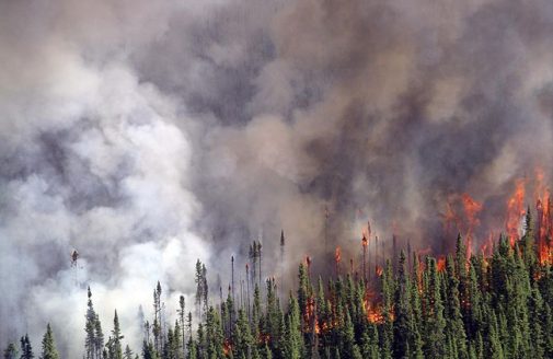 Spruce fire in Kenai National Wildlife Refuge