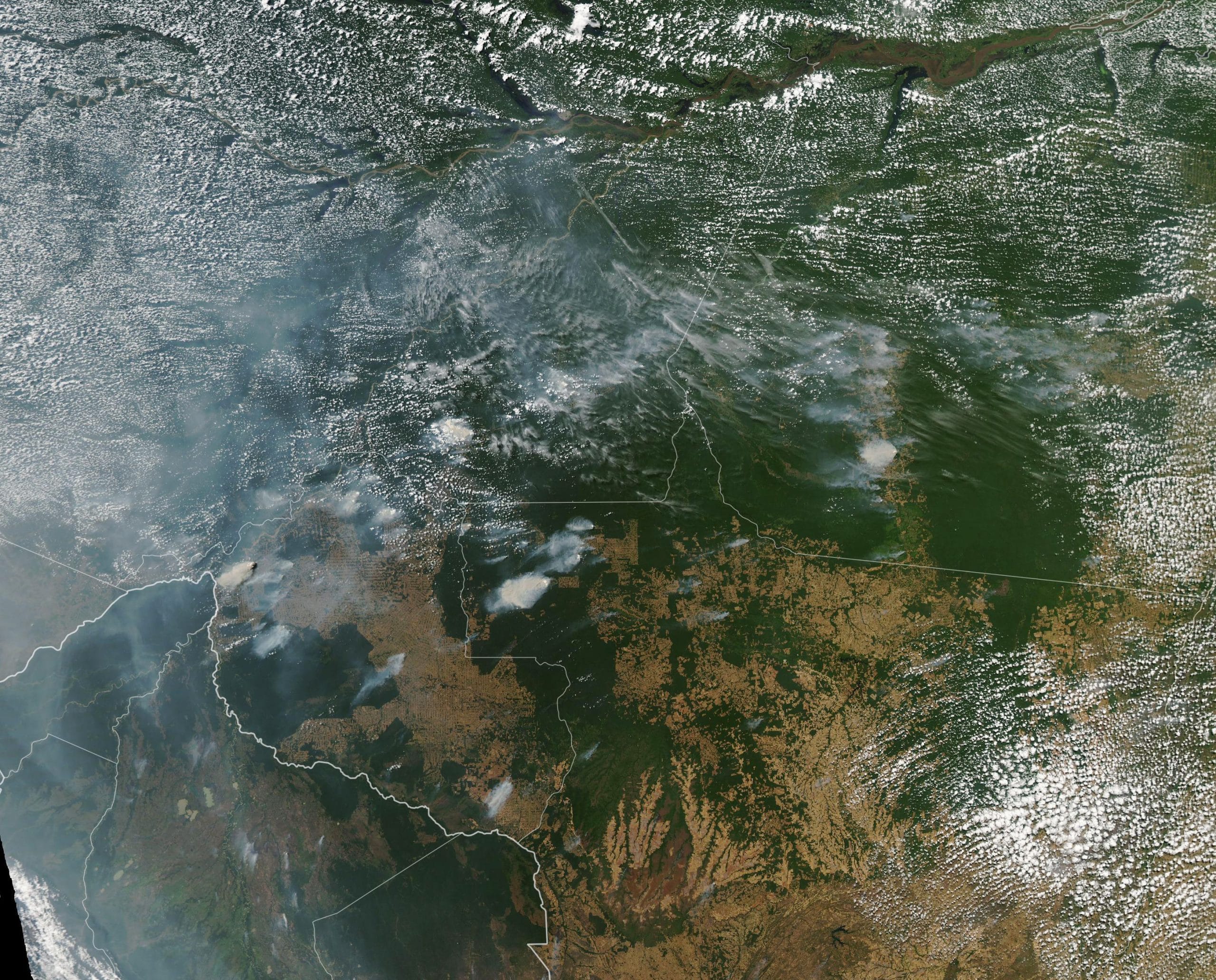 Satellite photo of fires in Brazil. NASA Earth Observatory