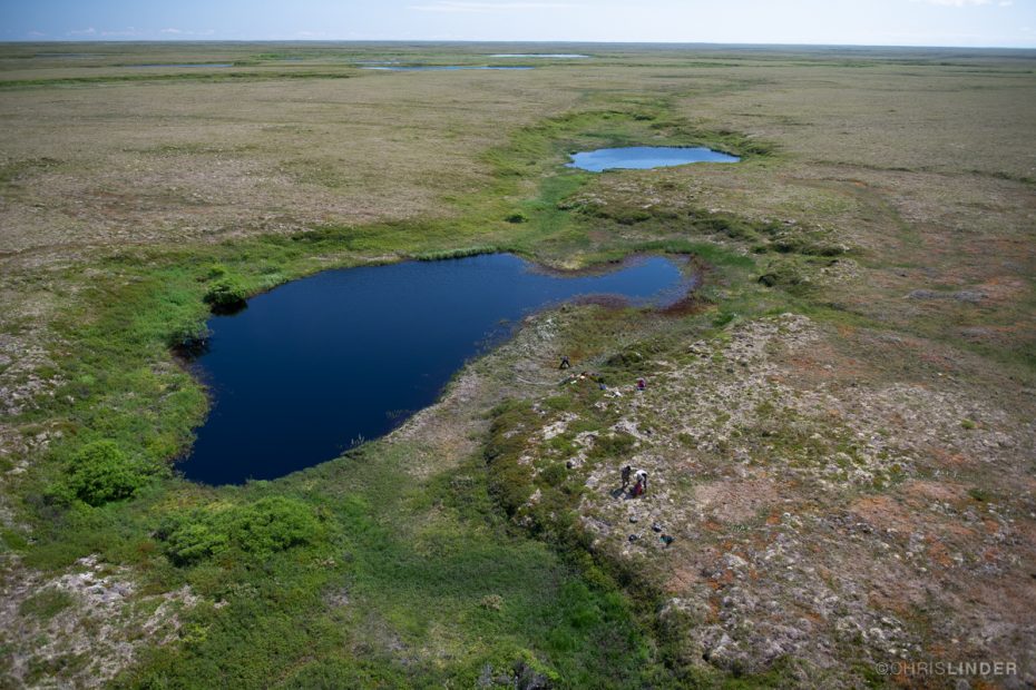 Aerial view of Arctic tundra in summer.