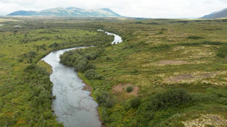 Kwethluk River