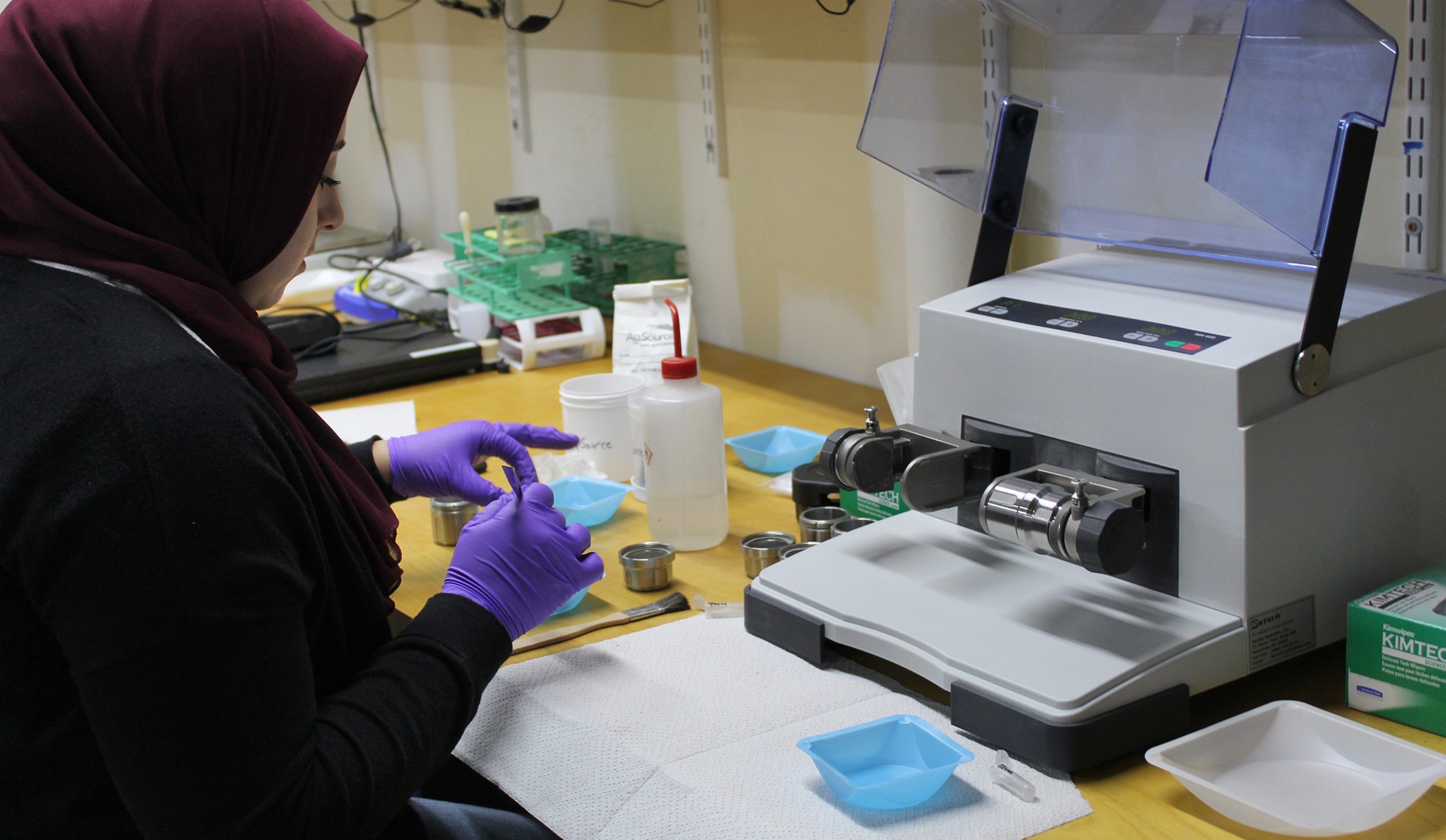 Summer intern Fidaa Janoudi prepares soil samples for analysis.