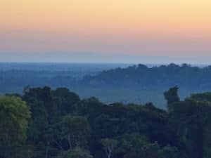 Mountaintop view of Amazon forest