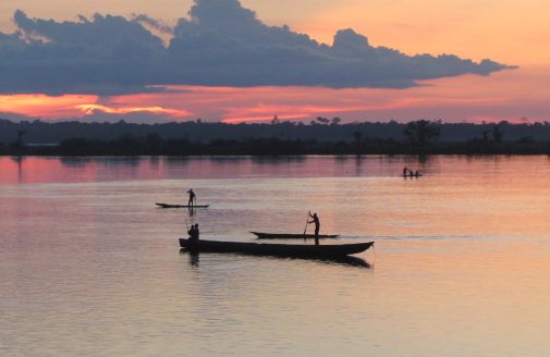 The Congo River flows through the rainforest near Mbandaka, home of Woodwell’s Project Équateur.