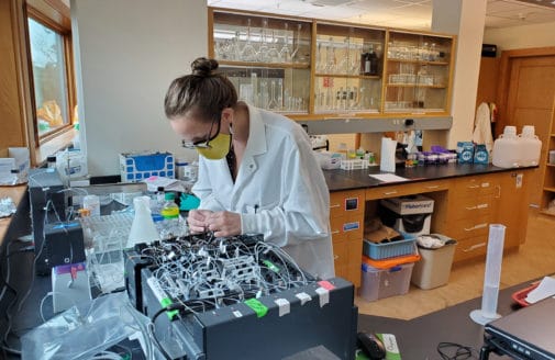 Lindsay Scott working in the Woodwell lab