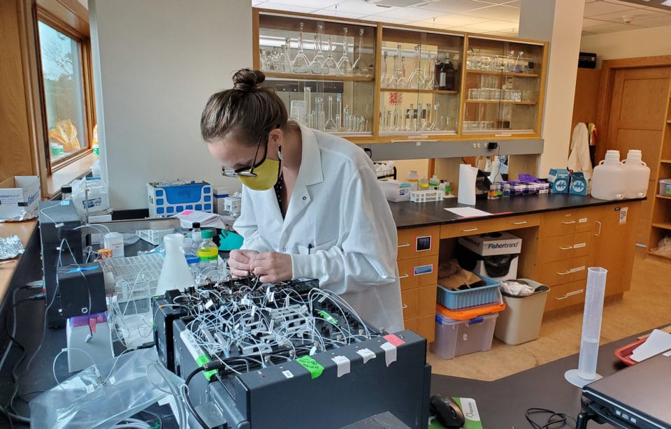 Lindsay Scott working in the Woodwell lab