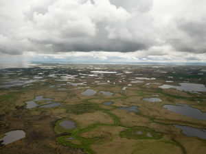 View of Alaska tundra during the summer.