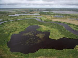 Aerial view of Arctic tundra in summer - photo by Chris Linder