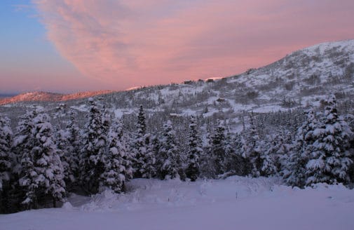 snowy evening Alaska landscape