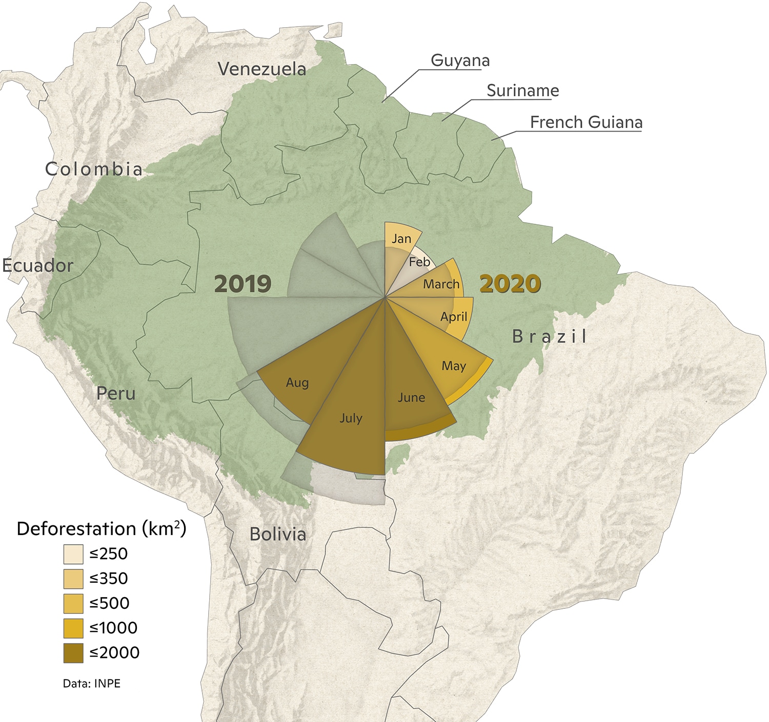 Map with coxcomb graph of 2020 deforestation January-August