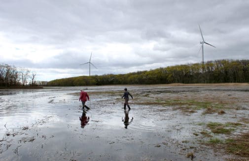 Great Marsh at Plum Island