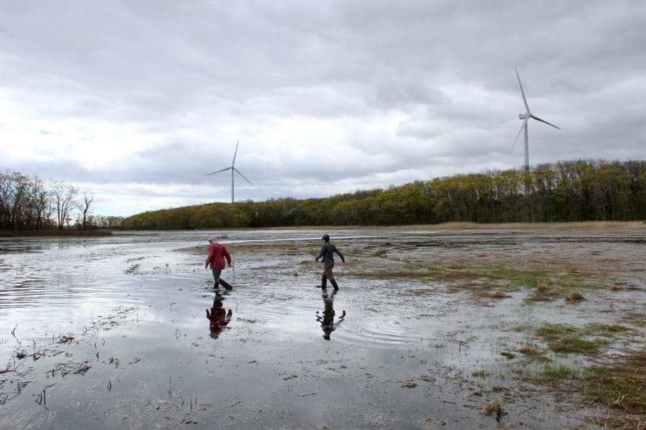 Great Marsh at Plum Island