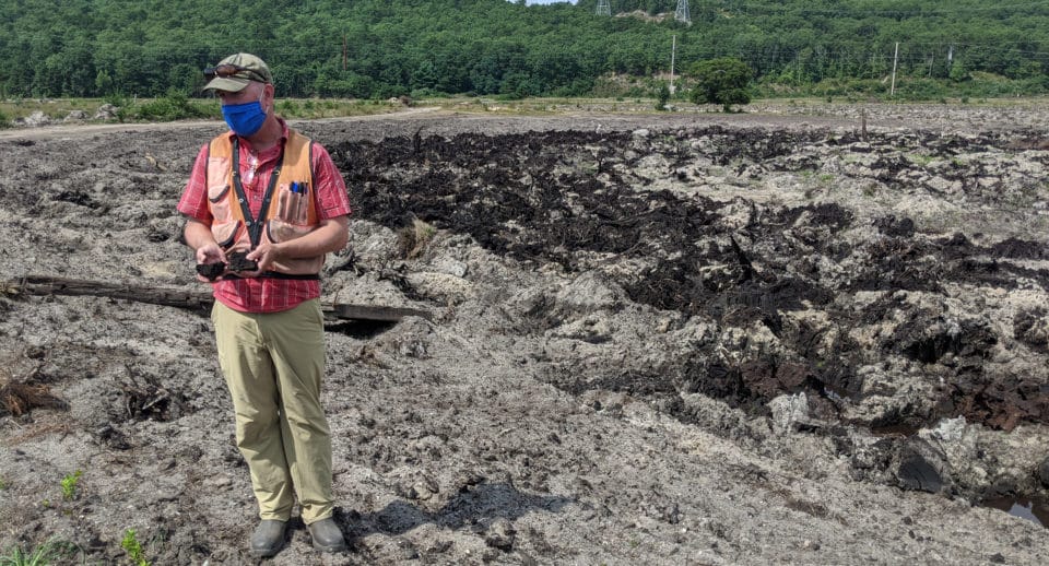 Former cranberry bog undergoing restoration work.