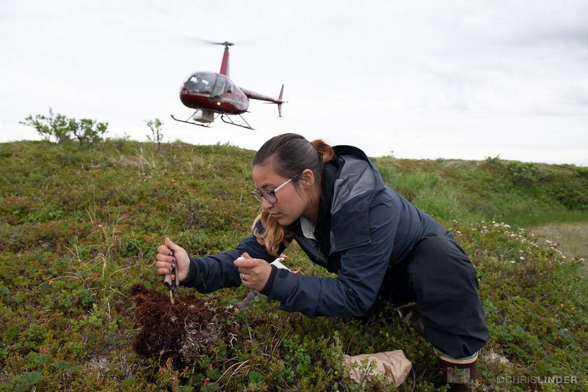 Darcy Peter conducting field work with Polaris Project 2018. Photo: Chris Linder.