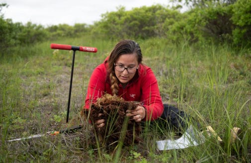 Darcy Peter collecting a soil sample during fieldwork in Alaska..