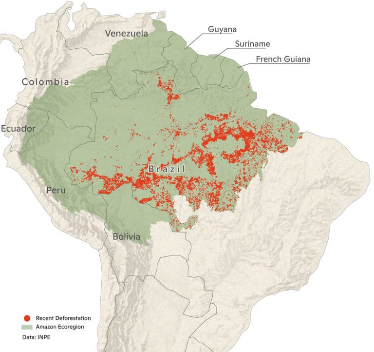 Map of recent deforestation