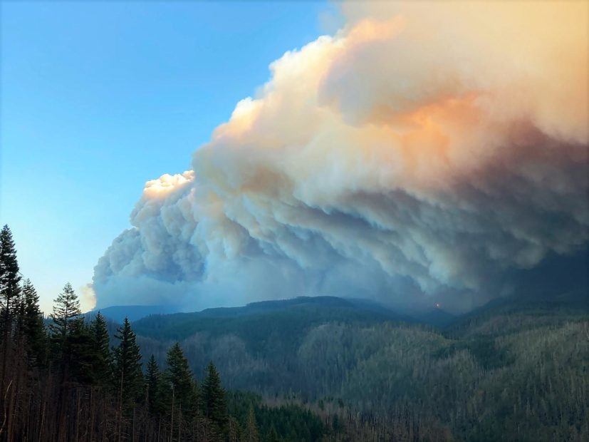 West coast forest fire