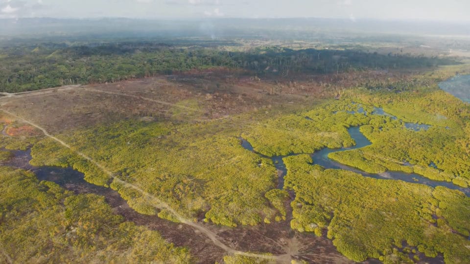 Aerial view of deforestation