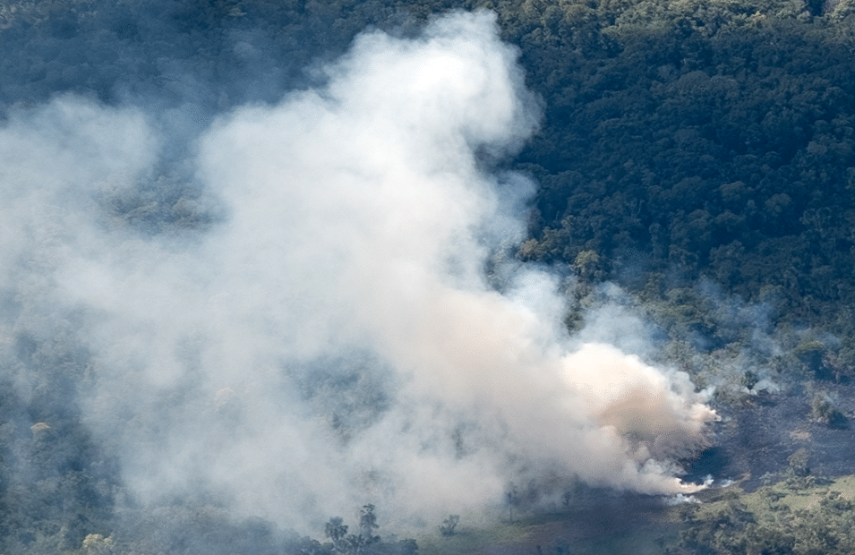 Smoke from Amazon fire. Photo by Paulo Brando