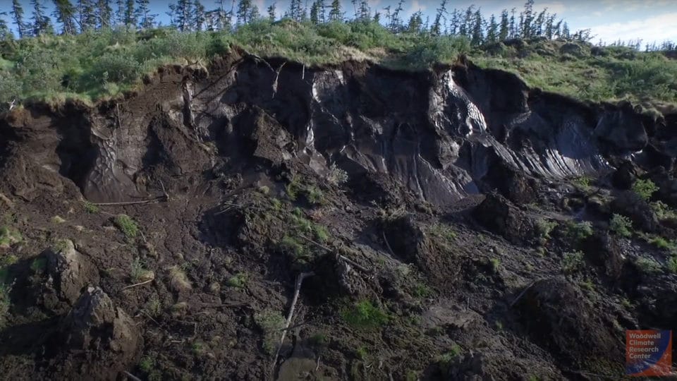 arctic permafrost