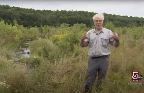 Chris Neill interviewed at a restored cranberry bog.