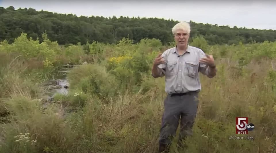 Chris Neill interviewed at a restored cranberry bog.