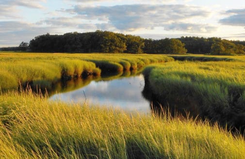 West Creek at Plum Island, photo by by David S. Johnson of Virginia Institute of Marine Science